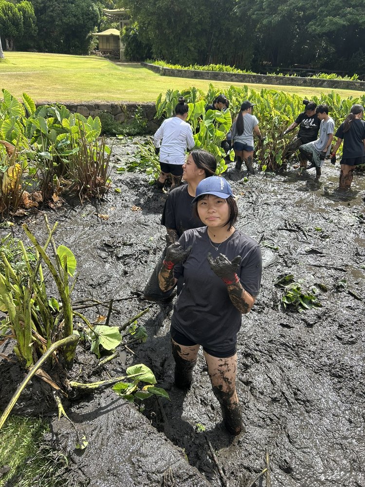 A student giving a thumbs-up with muddy gloves while cleaning a loʻi patch