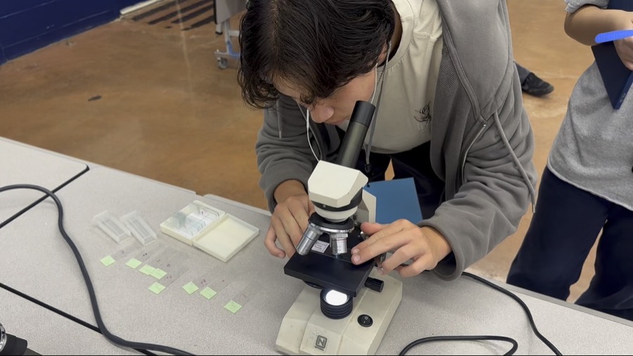 A student examining a slide under a microscope during a hands-on workshop
